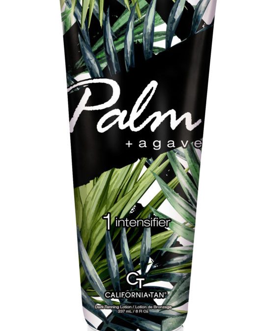 Palm-Agave-570×1024